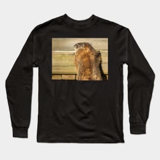 Curious Groundhog Photograph Long Sleeve T-Shirt